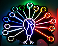 1 - Neon Sign - Service Cover