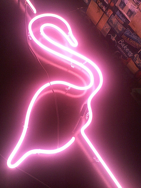 Flamingo Neon