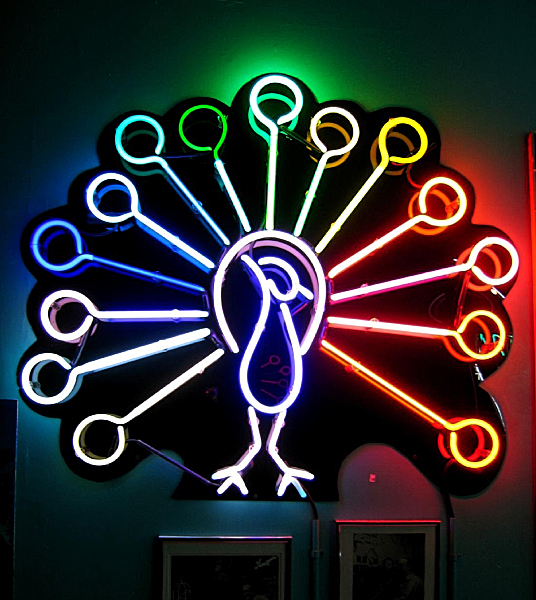 Rainbow Peacock
