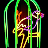 N11.-The-Bird-Cage