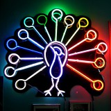 N7-Rainbow-Peacock